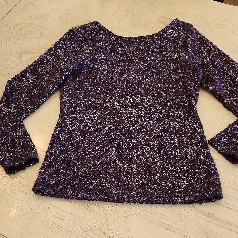 Jennifer Lopez Elegant Purple Sparkle Sweater Purple W/Silver Women's Size Large
